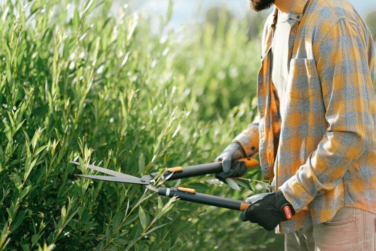 Gartenarbeit im Herbst