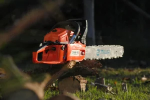 Gartenbäume schneiden