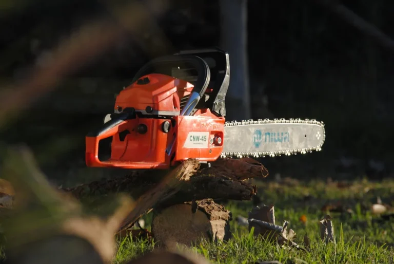 Gartenbäume schneiden