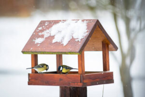 Vogelhäuschen